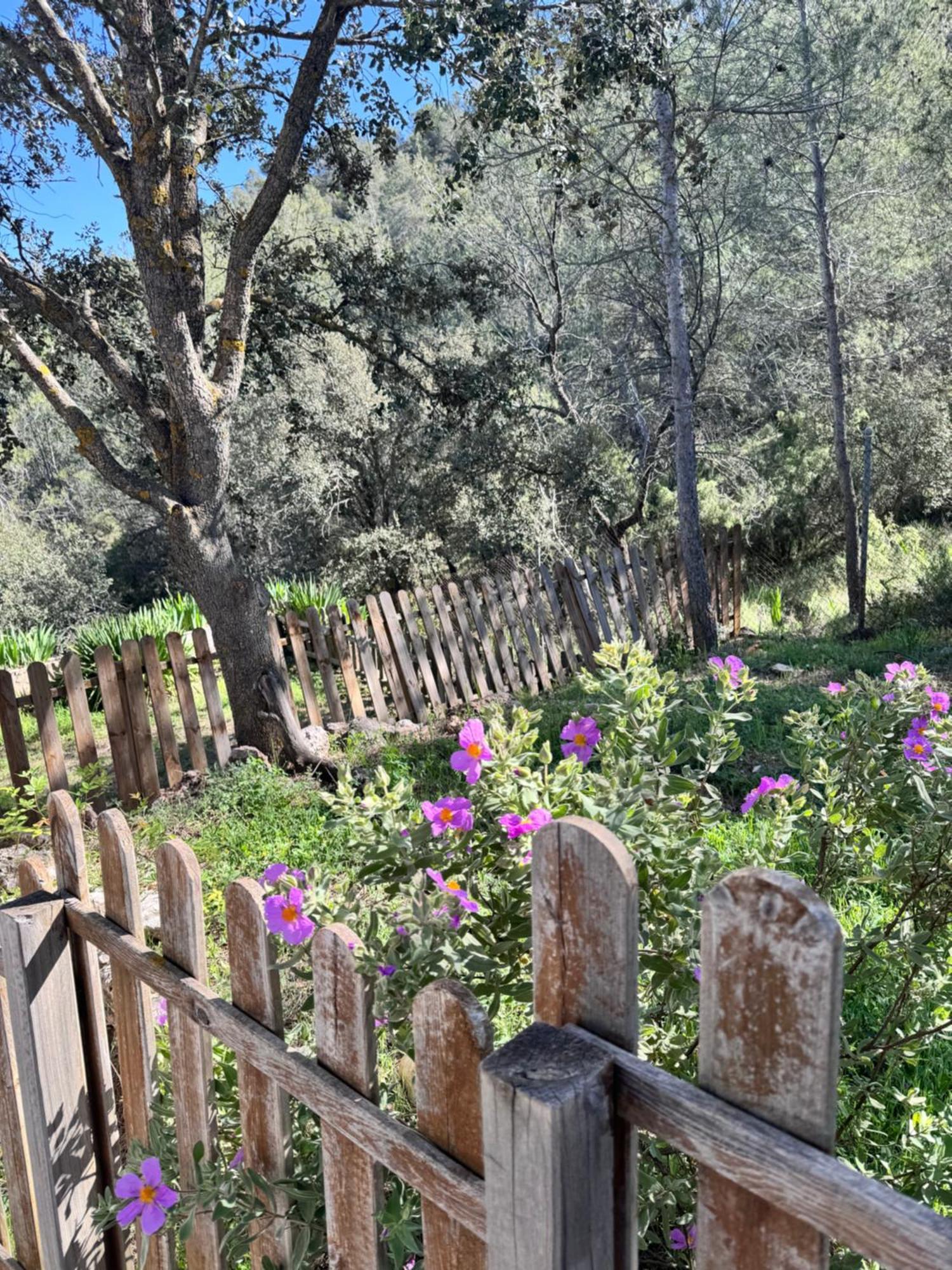 הוילה Albalate De Zorita Alcarria , Casa Del Agua מראה חיצוני תמונה